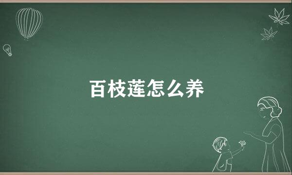 百枝莲怎么养
