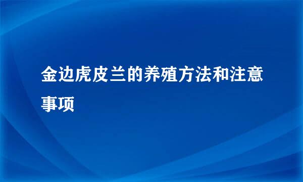 金边虎皮兰的养殖方法和注意事项