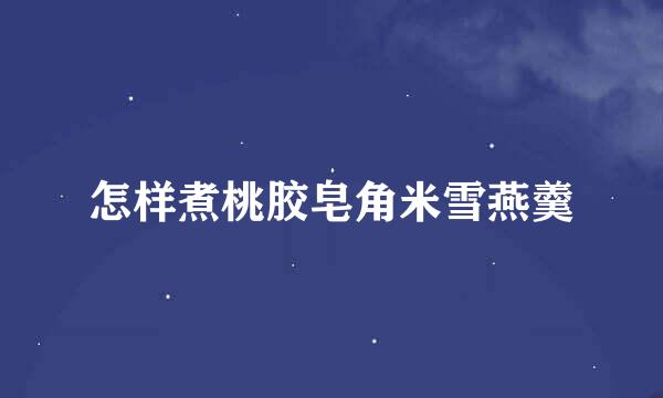 怎样煮桃胶皂角米雪燕羹