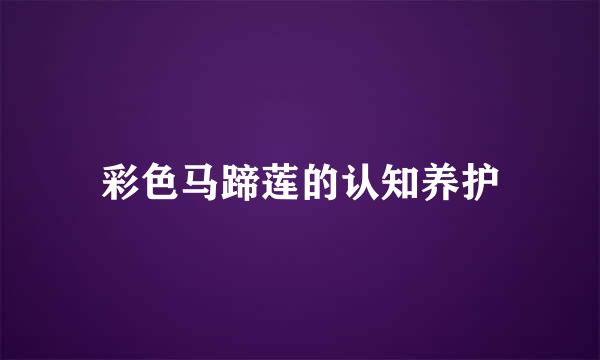 彩色马蹄莲的认知养护