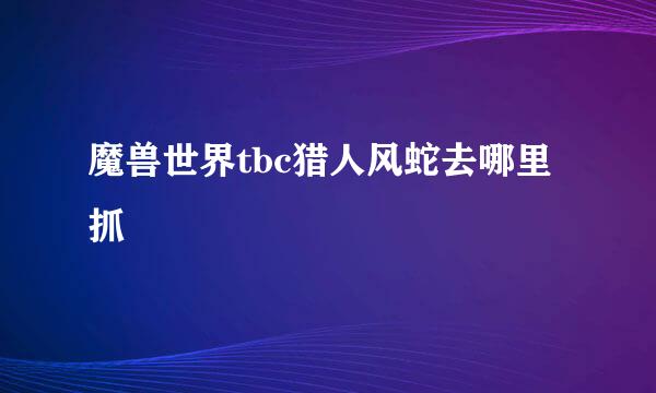 魔兽世界tbc猎人风蛇去哪里抓