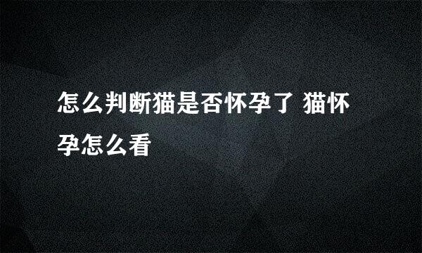 怎么判断猫是否怀孕了 猫怀孕怎么看