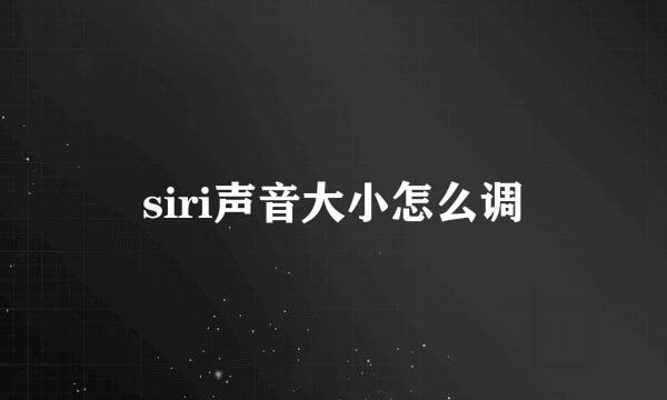 siri声音大小怎么调