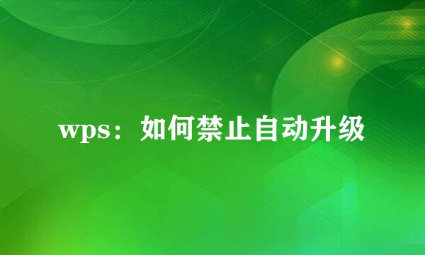 wps：如何禁止自动升级