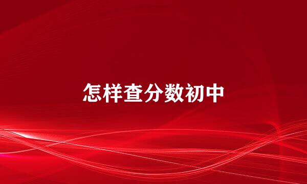 怎样查分数初中