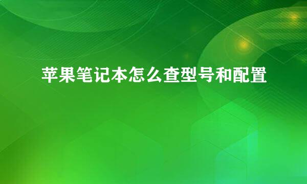 苹果笔记本怎么查型号和配置