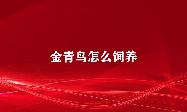 金青鸟怎么饲养