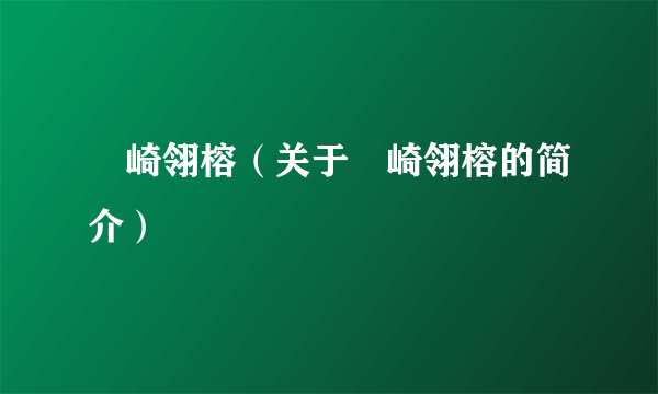 篠崎翎榕（关于篠崎翎榕的简介）