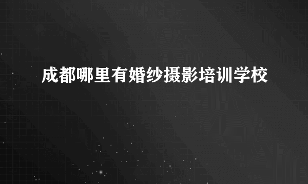 成都哪里有婚纱摄影培训学校