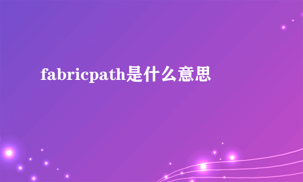 fabricpath是什么意思