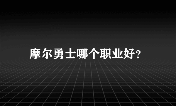 摩尔勇士哪个职业好？