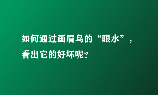 如何通过画眉鸟的“眼水”，看出它的好坏呢？