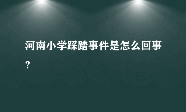 河南小学踩踏事件是怎么回事？