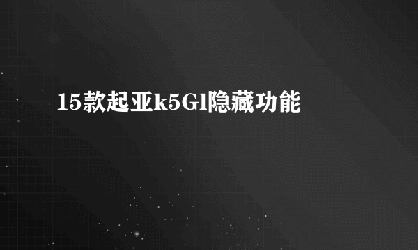 15款起亚k5Gl隐藏功能