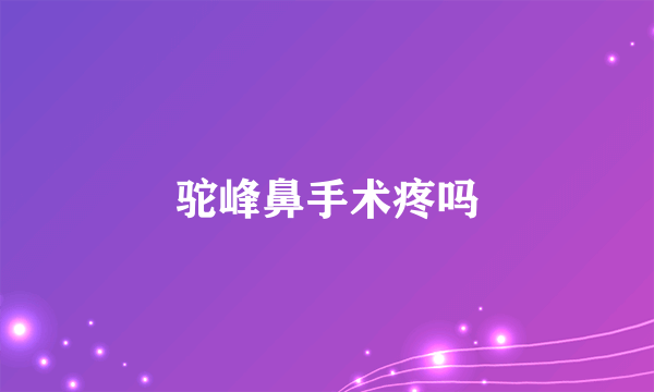 驼峰鼻手术疼吗