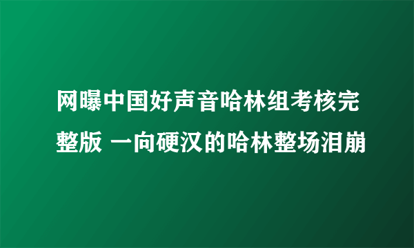 网曝中国好声音哈林组考核完整版 一向硬汉的哈林整场泪崩