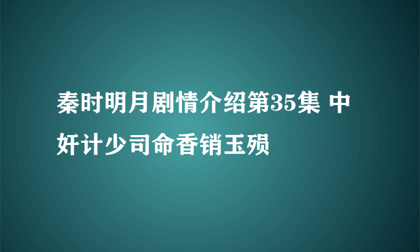 秦时明月剧情介绍第35集 中奸计少司命香销玉殒
