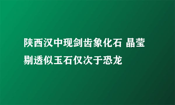 陕西汉中现剑齿象化石 晶莹剔透似玉石仅次于恐龙