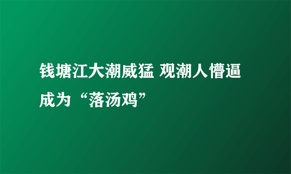 钱塘江大潮威猛 观潮人懵逼成为“落汤鸡”