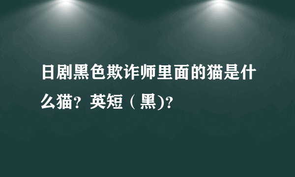 日剧黑色欺诈师里面的猫是什么猫？英短（黑)？