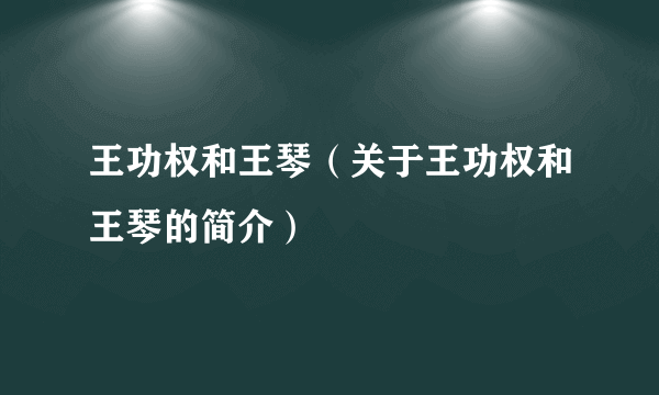王功权和王琴（关于王功权和王琴的简介）