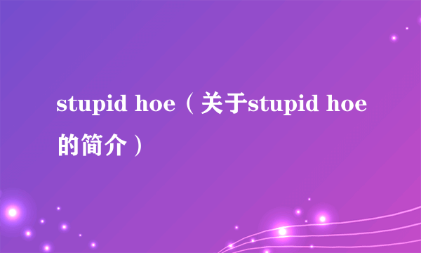 stupid hoe（关于stupid hoe的简介）