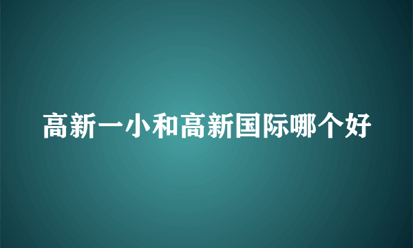 高新一小和高新国际哪个好