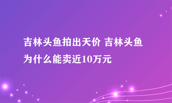 吉林头鱼拍出天价 吉林头鱼为什么能卖近10万元