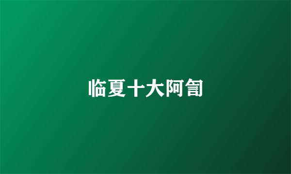 临夏十大阿訇