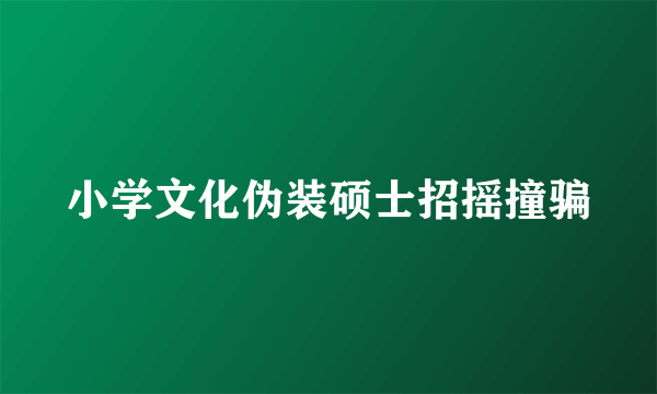 小学文化伪装硕士招摇撞骗