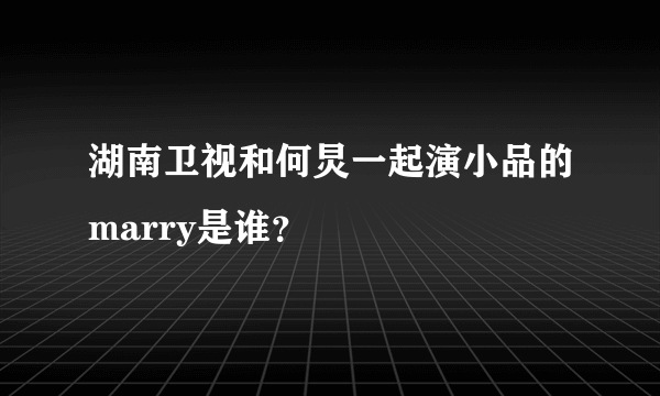 湖南卫视和何炅一起演小品的marry是谁？