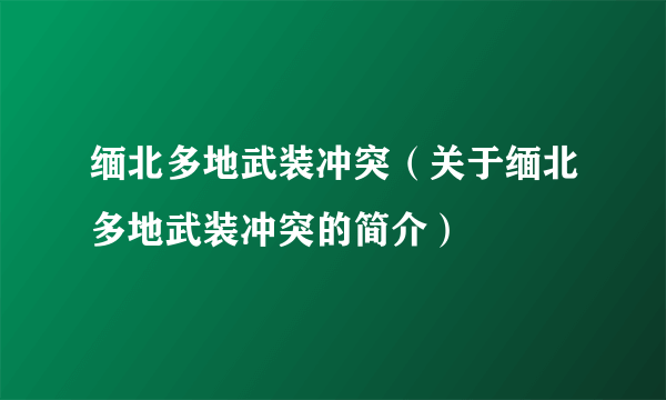 缅北多地武装冲突（关于缅北多地武装冲突的简介）