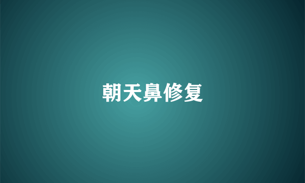 朝天鼻修复