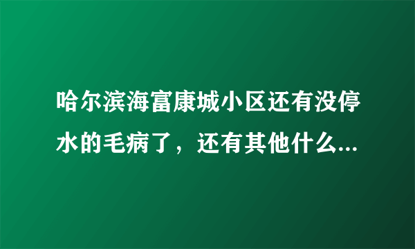 哈尔滨海富康城小区还有没停水的毛病了，还有其他什么毛病说一下，我想在那买房子