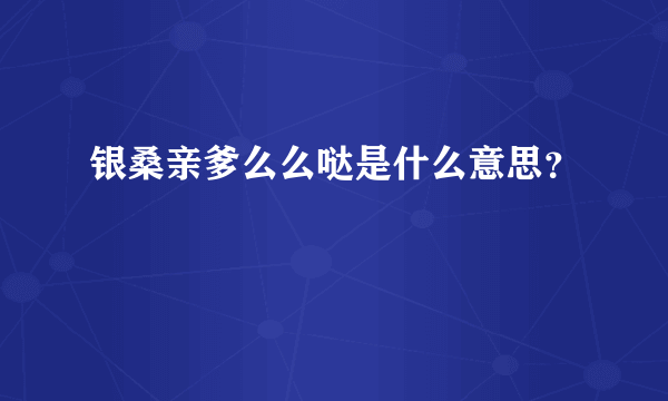 银桑亲爹么么哒是什么意思？