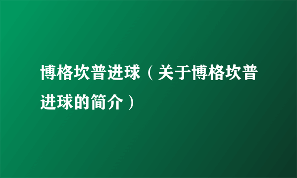 博格坎普进球（关于博格坎普进球的简介）