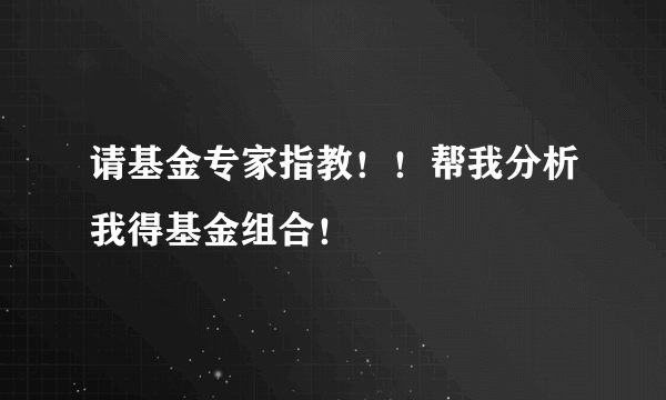 请基金专家指教！！帮我分析我得基金组合！