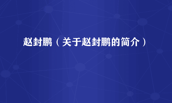 赵封鹏（关于赵封鹏的简介）