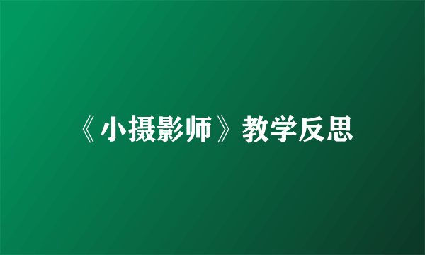 《小摄影师》教学反思